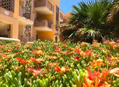 a garden of flowers in front of a building at Tropical Resort Pool View - Apartment in Santa Maria