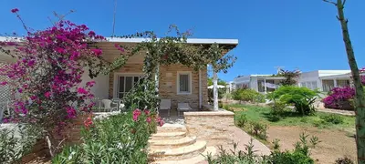 a house with a bunch of flowers in front of it at Bungalow Praia de Chaves Sol & Mar in Cabeçadas