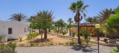 a garden in front of a building with palm trees at Bungalow Praia de Chaves Sol & Mar in Cabeçadas