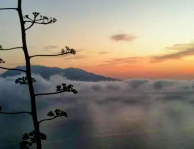 a silhouette of a tree in the sky with clouds at Djabraba's Boarding Rooms in Garça