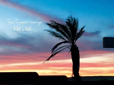 a palm tree in front of a sunset at Aparthotel Por do Sol in Sal Rei