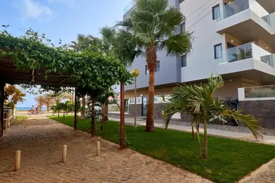 a pathway with palm trees and a building at Sal & Mar in Santa Maria