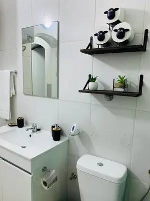 a bathroom with a toilet and a sink and a mirror at Large 1 bedroom Apt with sofa bed in Santa Maria