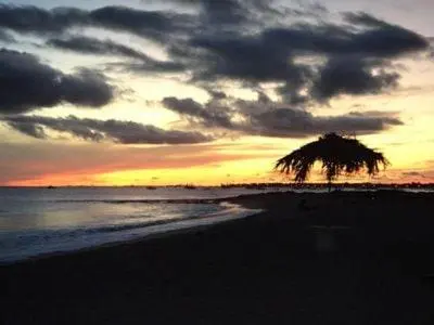 a sunset on a beach with a palm tree at Stunning, spacious penthouse in beach front Leme Bedje Residence in Santa Maria