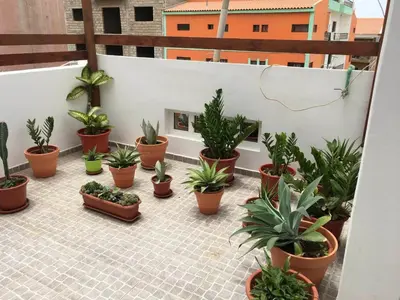 a bunch of potted plants on a balcony at Duplex Avenida Ilhéu Santa Maria, Palmarejo in Praia