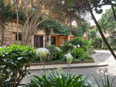 a garden in front of a building with plants at Porto Antigo, o Paraíso na ilha do Sal, no centro de Sta Maria in Santa Maria