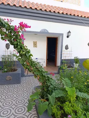 a plant in front of a white house with flowers at B&B Casa Boho