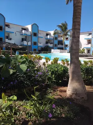 a resort with a pool and a palm tree and flowers at Moradias No Stress in Santa Maria
