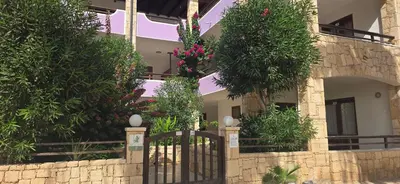 a fence in front of a building with flowers at Nature Breeze in Sal Rei