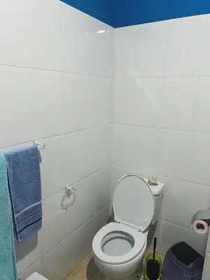 a bathroom with a toilet and a blue towel at Tropical Breeze Holidays in Santa Maria