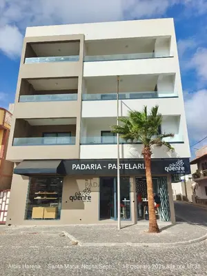 a building with a palm tree in front of it at Studio Apartment in the Center in Santa Maria