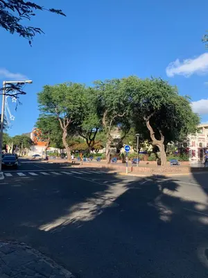a street with trees on the side of a road at Shay's House in Mindelo in Mindelo