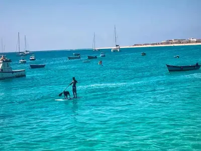 a person and a dog on a surfboard in the ocean at Sunshine Gold Spot in Santa Maria