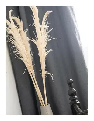 a vase filled with tall grass in front of a curtain at Casa Evora - Your home away from home in Mindelo