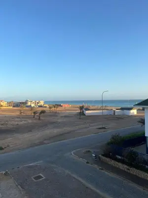 a view of a beach with palm trees and the ocean at WIND Ocean View Lobster Dinner Included in Santa Maria