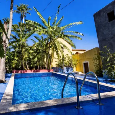 a swimming pool in front of a house with palm trees at Quinta Toca do leão in Ribeira Grande
