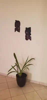 a plant in a black pot on a wall with masks at Apart savane in São Filipe