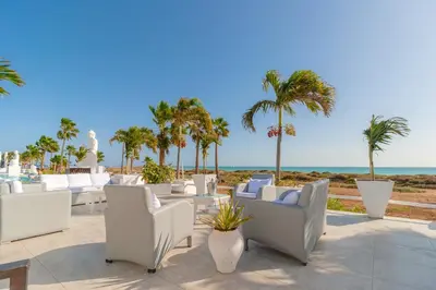 a patio with white chairs and palm trees and the ocean at Hotel LIVVO Budha Beach in Santa Maria