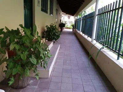 a corridor of a building with potted plants on it at Ribeira Grande Country House in Escabeçada