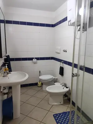 a bathroom with a toilet and a sink at Residence Amanda with pool in Santa Maria