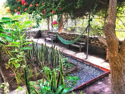 a hammock in the middle of a garden at Casa Santa Barbara Deluxe in Ribeira Grande