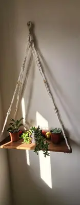 a shelf with potted plants on top of it at Meeting Point Hostels-Praia Beachwalk-NO CASH ACCEPTED-Also in Fogo & Tarrafal in Praia