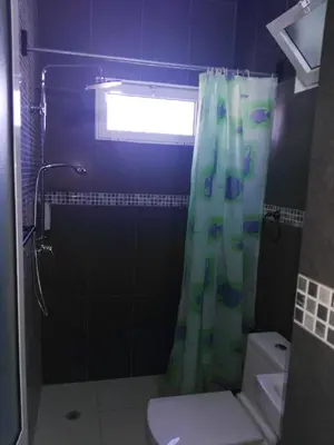 a bathroom with a shower curtain and a toilet at Residencial Casa da Luz in Mindelo