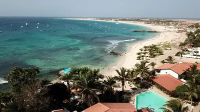an aerial view of a beach with palm trees and the ocean at Oceanfront Apt 4 Porto Antigo II in Santa Maria