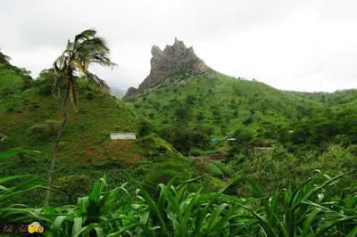 a lush green hillside with a palm tree on it at Casa Pé di Polon holiday home in Picos
