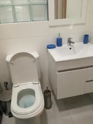 a bathroom with a toilet and a sink at Apartamento Micael in Praia