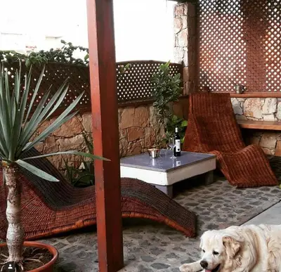 a white dog laying on the floor in a patio at Sakaroule B&B in Santa Maria