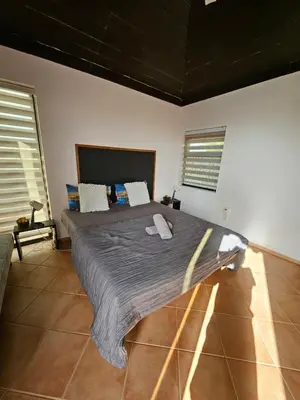 a bedroom with a large bed in a room at Blue Eagle Guesthouse - Casa de hospedes in Santa Maria