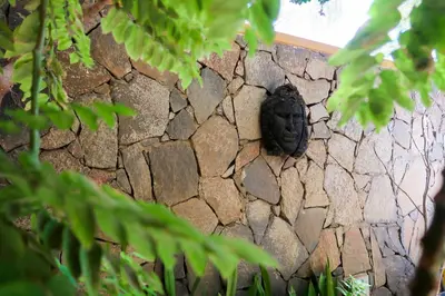 a black turtle sitting on a stone wall at O Jardim do Vinho, AC in Praia