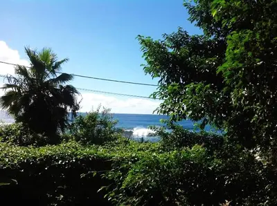 a beach with a palm tree and the ocean at Charming 2BR with Refreshing Ocean View in Praia