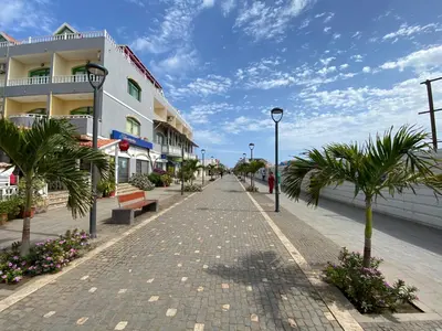 a cobblestone street with palm trees and a building at Zen House Tropical in Santa Maria