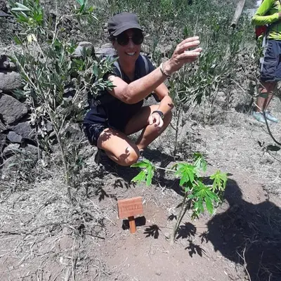 a man kneeling in front of a plant at Casa Pedrina in Ribeira Grande