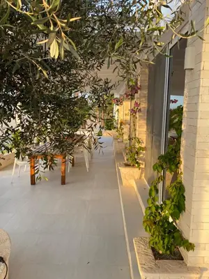 a hallway with trees and plants in a building at Villa Alfredo Marchetti Nº13 A Suites on the Beach, Praia de Chaves, Boa Vista in Cabeçadas