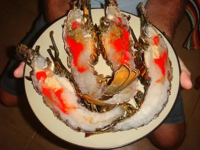a plate of three crabs on a plate at Kasa Mona in Calheta Do Maio