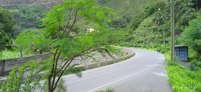 a person riding a bike down a road at Damontanha 2 in Ribeira Grande