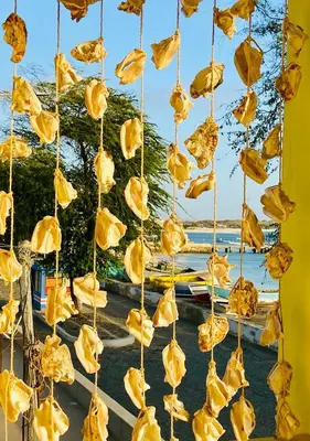a bunch of yellow hats hanging from a window at Ca' Santa Barbara, Free Wi-fi, Sea view, Sal Rei, Boa Vista, Cape Verde in Sal Rei