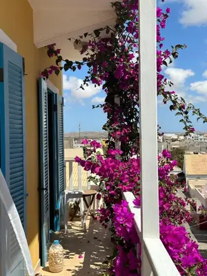 a balcony with purple flowers on a building at B&B Mi Ma Bo, Sal Rei, Boa Vista, Cape Verde, FREE WI-FI in Sal Rei