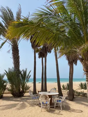 a table and chairs on the beach with palm trees at Villa Nº 25 Alfredo Marchetti Suites on the Beach,Praia de Chaves BV in Cabeçadas