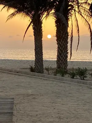 two palm trees on the beach at sunset at Villa Nº 25 Alfredo Marchetti Suites on the Beach,Praia de Chaves BV in Cabeçadas