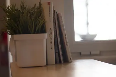 a group of books on a table with a potted plant at Urban Sal Loft in Espargos