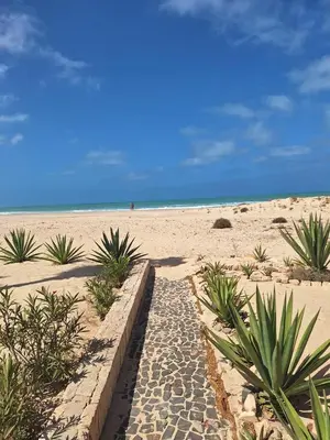 a pathway leading to a sandy beach with the ocean at Útulný apartmán na Praia de Chaves, Boa Vista in Sal Rei