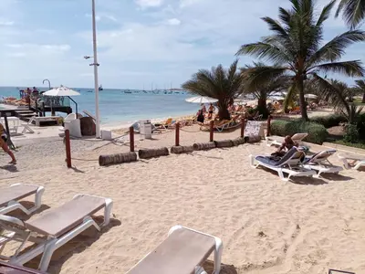 a beach with chairs and palm trees and the ocean at Porto Antigo 2 Apt 72 TOP FLOOR WITH SEA VIEW in Santa Maria