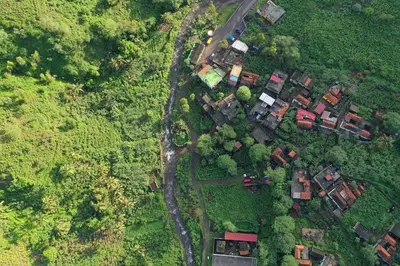 an overhead view of a group of houses in a forest at Tiny House Ribeira Principal in Mato Correia