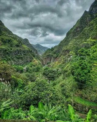 a view of a mountain with trees and bushes at Tiny House Ribeira Principal in Mato Correia