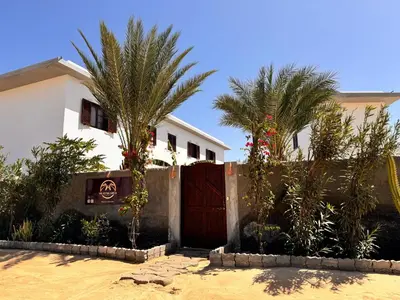 a fence in front of a house with palm trees at Vilas na areia aparthotel in Sal Rei