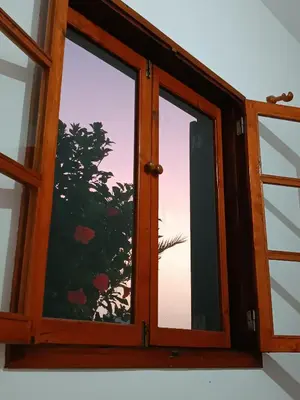 a window with a view of a tree at Vilas na areia aparthotel in Sal Rei